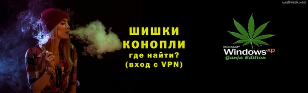 шишки Протвино