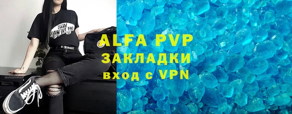 прущие грибы Беломорск