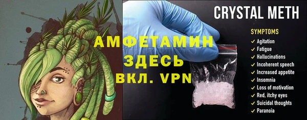 прущие грибы Беломорск