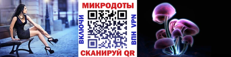 shop состав  Красноярск  Галлюциногенные грибы GOLDEN TEACHER  как найти наркотики 